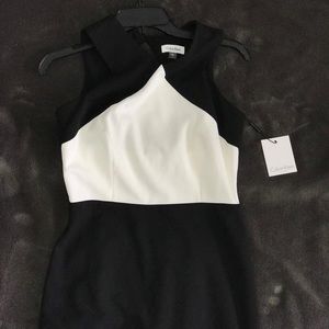 Calvin Klein Black & White Dress